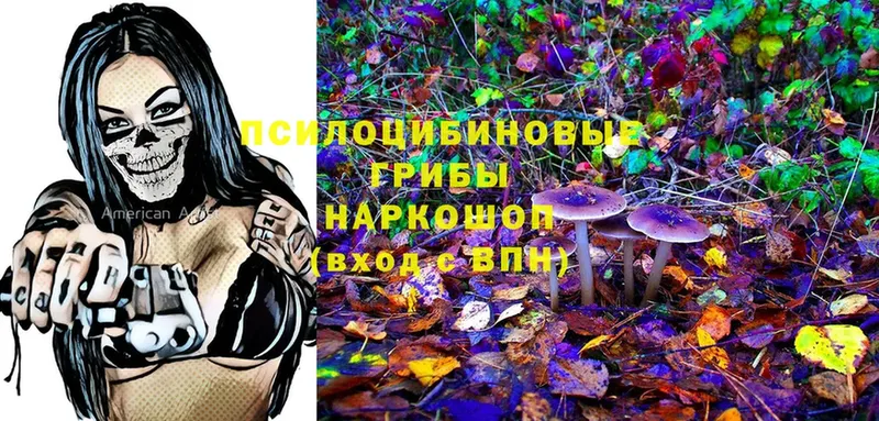 Галлюциногенные грибы Psilocybe  наркошоп  Солигалич 